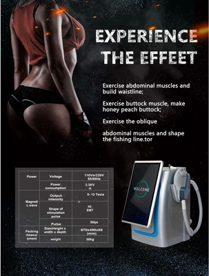 เครื่องลดน้ําหนัก 300us EMS แบบยืน เครื่องปั้นร่างกาย EMS ความเข้มข้นสูง