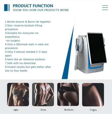 เครื่องกระตุ้นกล้ามเนื้อไฟฟ้าแม่เหล็ก เครื่องสวยงาม RF Slim 5000W สําหรับลดน้ําหนัก